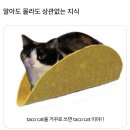 재희 여자친구 편지(2) 이미지