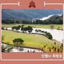 면목솔로몬 이미지