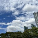 청명투 | 가을가을하늘,서울숲카페 스페셜 땡스 투