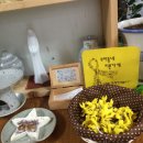 (개인)김은순 이미지