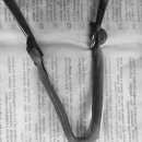 용인도담동물병원 이미지