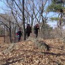 머르메가는길 이미지