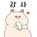 EYE쁘다