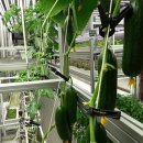 기지농장 이미지