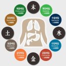 사상 체질과 약선 이미지