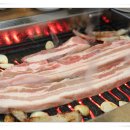 돼지한마당 이미지