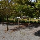 태안라온캠핑장 이미지