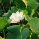 설악바다 통나무 펜션 이미지