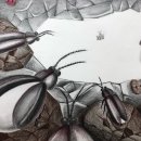 반딧불이 씨앤씨 이미지