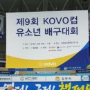 금호초교 이미지