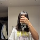 후쿠오카 2일차 : 텐진 멘창코테이 모츠나베 멘챤코 / 텐진지하상가 칼디 / 후쿠오카 벚꽃여행