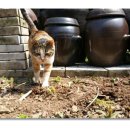 우리의 봄날 이미지