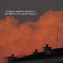 펠어커피 만덕점 이미지