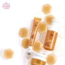 세라스포츠 이미지