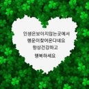 괜찮은 월요일