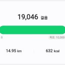 비전동 소로 3-36 | 프라하 성(성 비투스 대성당, 구 왕궁, 성 이르지 성당, 황금소로) / 스트라호프 수도원 양조장 / 꼴레뇨