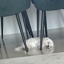 씨유공릉스타점 | 인생은~ 먹기~ 토스 다시 봄~