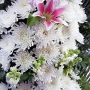 이든텍(주) 이미지