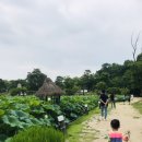 흑진주목장 이미지