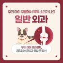 월평동물병원 이미지