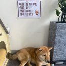 샐러드몽키24 이미지