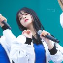 데이지민