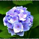 비지팅복지용구 이미지