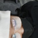 하루 | 잠실새내 속눈썹펌 래쉬하루 스칼피아 방문 후기