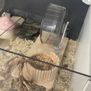 단케로