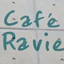 하비펫샵 이미지