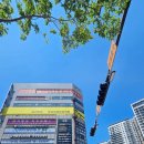 365봉담약국 이미지