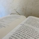 유현문화관광지 이미지