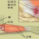 대나무한의원 이미지