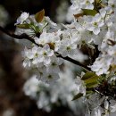 성문안 목장 이미지