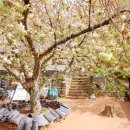 창건목장 이미지