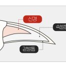 페스룸 스마트 네일 클리퍼, 집사템으로 소문난 발톱...다이소 발톱깎이로 돌아간 사연, 장단점 후기 공유