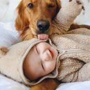 사랑아이여성의원 이미지