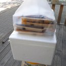 본도시락옥계점 이미지