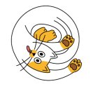 마시멜로키즈풀빌라 이미지