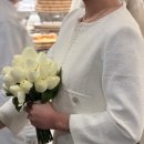 (주)넷돌 | #W30. 강남 웨딩홀 세인트 메리엘 암행 및 본식 후기💒