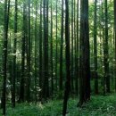 무릉1공원 이미지