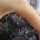 대현동물병원 이미지