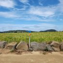 제주 올레길 12코스 이미지