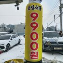 가산흑염소 이미지