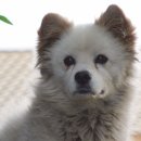 김옥자농장 이미지