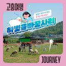 하빛율빠꿈사리 이미지