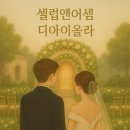 아이올라 | 셀럽앤어셈 견적 26년 상반기 ㅣ디아이올라 홀투어 후기