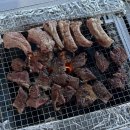 청도 에이스캠프 프라이빗 신상 카라반 후기