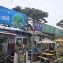 장봉도 염소 농장 네이버블로그