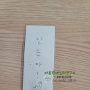 영진원예사 Daum카페